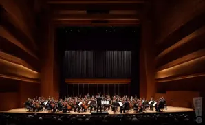 An orchestra performs on a wooden stage under warm, angled lighting.