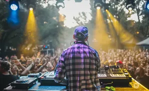 DJ performing for a cheering crowd at an outdoor concert, illuminated by stage lights.