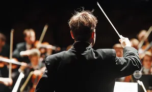 Conductor leading an orchestra, viewed from behind, with baton raised.