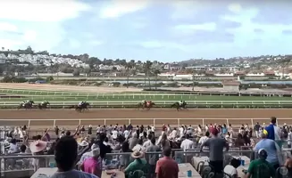 A horse race with a crowd watching from a grandstand in front of a hillside of buildings.