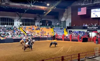 Rodeo arena with bull riders, a bull, and spectators in the stands.