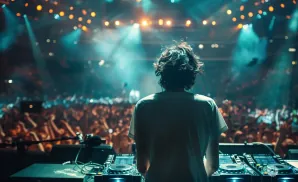 DJ at a concert, back to camera, playing for a cheering crowd under stage lights.