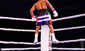 gervonta davis