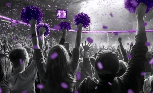 a crowd of stonehill skyhawks fans cheering for their football team