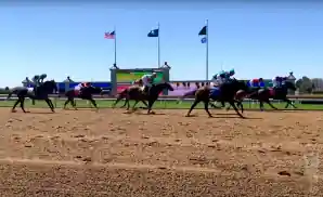 horses racing the keeneland fall race meet in lexington, kentucky.