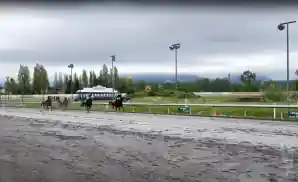 live racing at the hastings racecourse in vancouver, british columbia, canada.