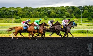 live racing at santa anita park
