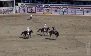 cowboys riding horses at the 2021 calgary stampede rodeo.