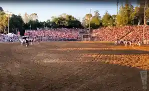 cowboys riding horses at the folsom pro rodeo.