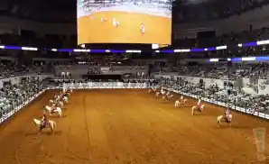 horses lined up at the fort worth stock show and rodeo 2022.