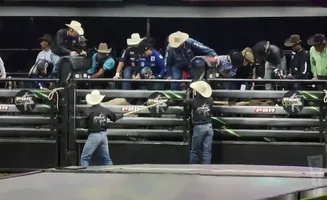 professional championship bull riders