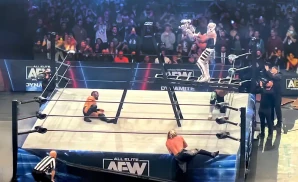 all elite wrestling  double or nothing