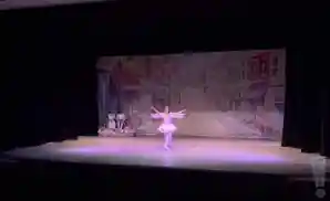 philadelphia ballet live at the philadelphia dance theatre in philadelphia, pennsylvania.