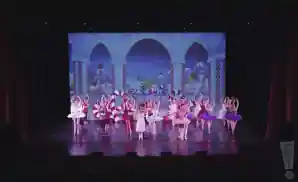 christmas themed show at the texas ballet theater.
