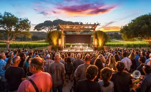 Outdoor concert at sunset with a band playing on stage in front of a vineyard.