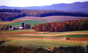 A farm with colorful autumn trees and fields, a tractor working in a cornfield.
