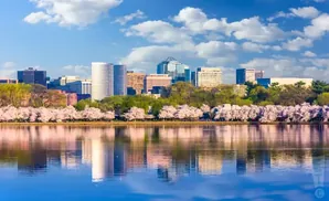 A waterfront city skyline with cherry blossoms in bloom, reflected in calm water under a blue, cloudy sky.