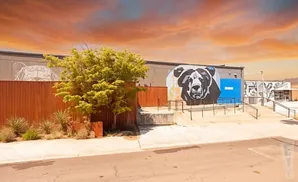 Mural of a bear's face on a building with a tree and orange corrugated fence.