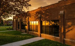 Golden hour light reflects off a brick building's windows, casting tree shadows on the wall.