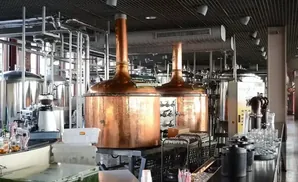 A brewery with large copper kettles and stainless steel tanks.