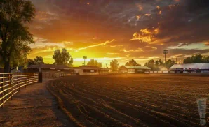 ThePlazaLive_OrlandoFL-Leonardo