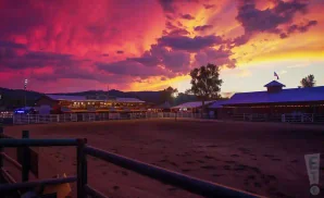 FrostAmphitheater_StanfordCA-Leonardo