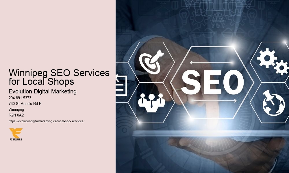 Winnipeg SEO Services for Local Shops