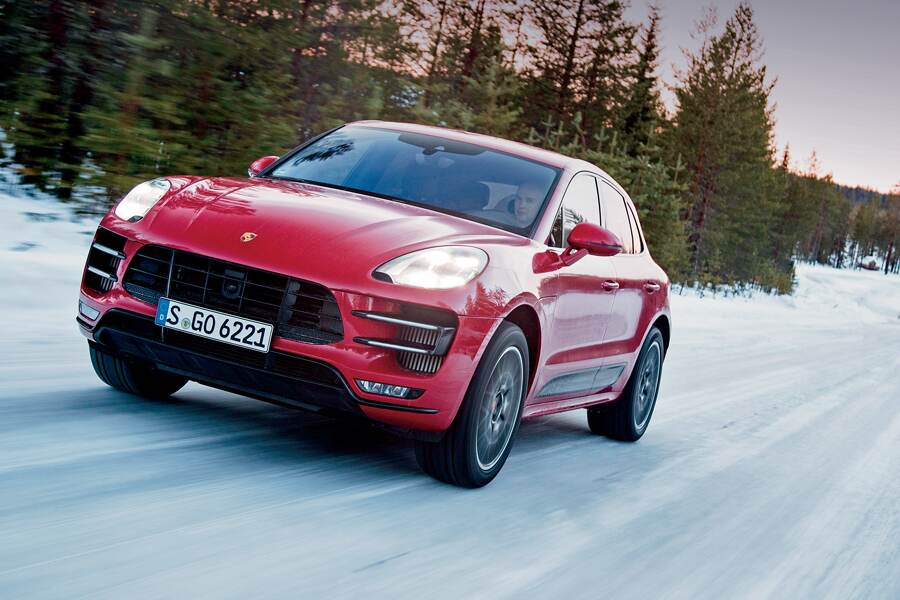 Photo: A Feistier Tiger 1