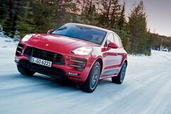 Photo: A Feistier Tiger 1