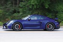 Photo: Roaring Crocodile 1