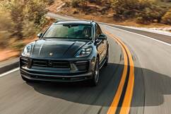 Photo: Ambush of Tigers 2