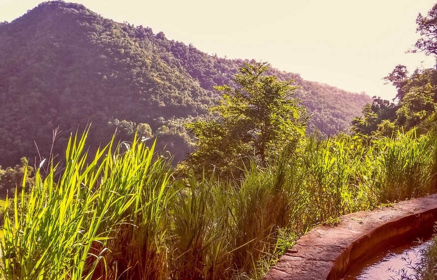 retrouvez-le-canal-des-esclaves-martinique-gr-ce-villaveo