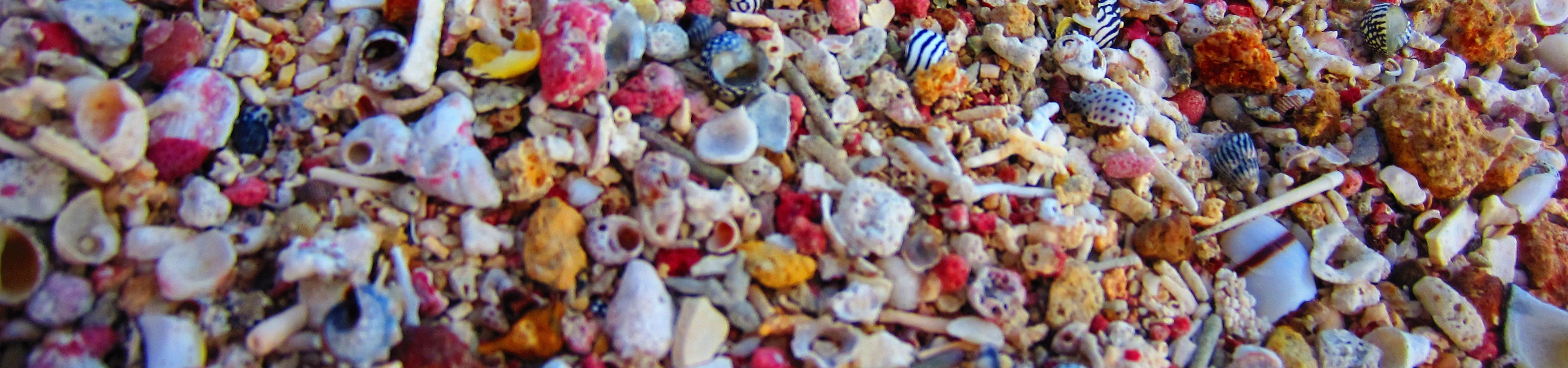 Location vacance Sainte Anne Guadeloupe, location villa Villaveo