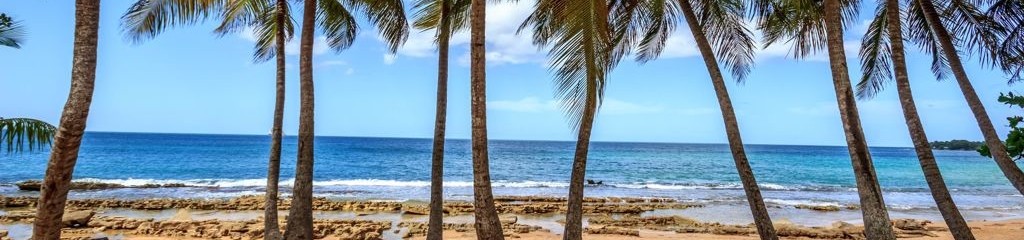 Vacation Rental In Guadeloupe Sainte Rose Commune