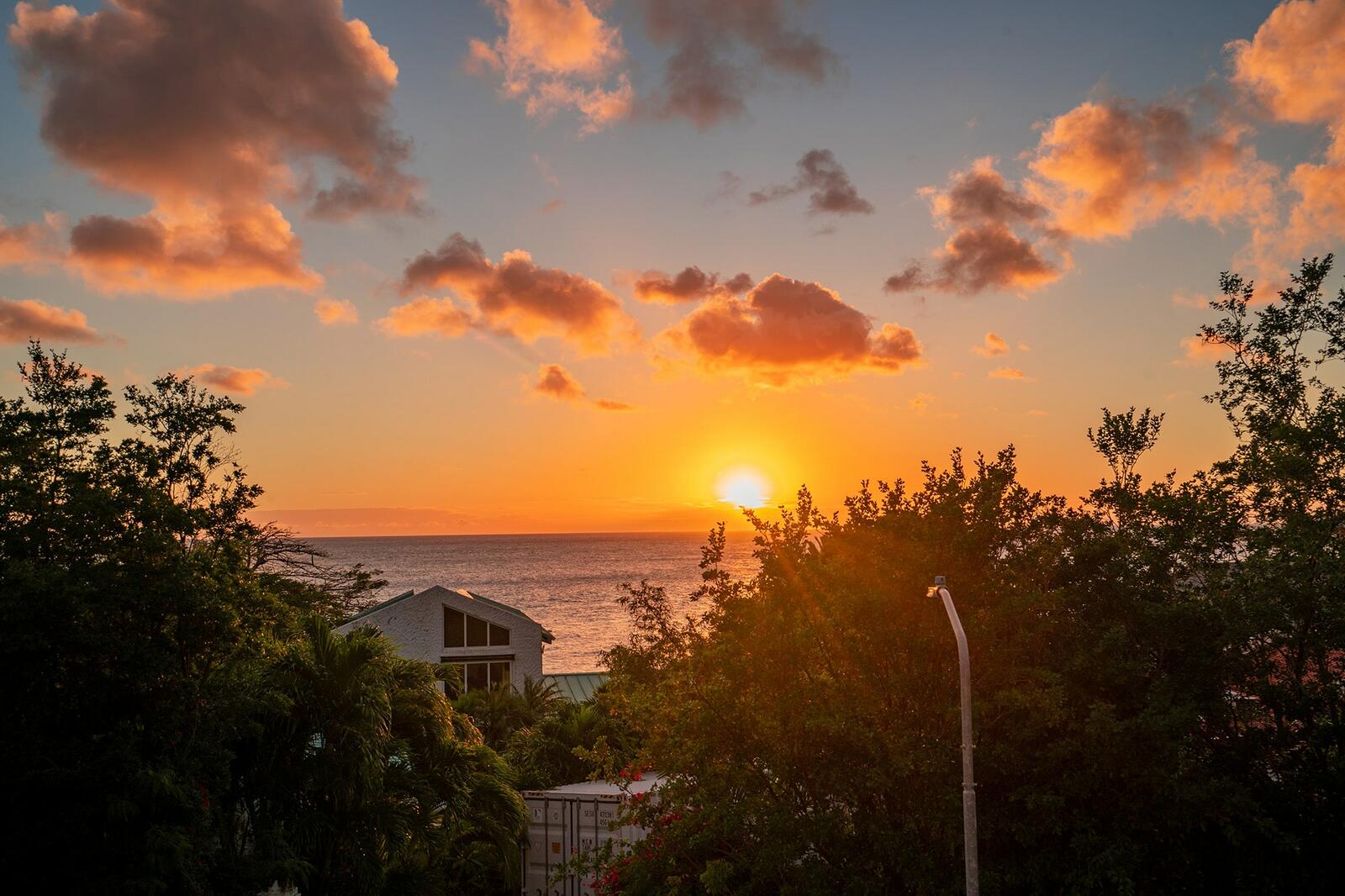 cole-bay