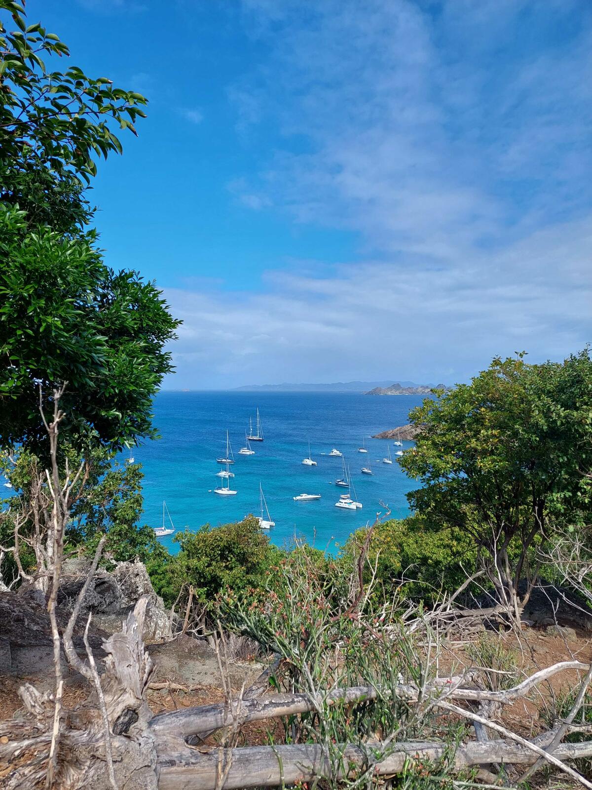 colombier