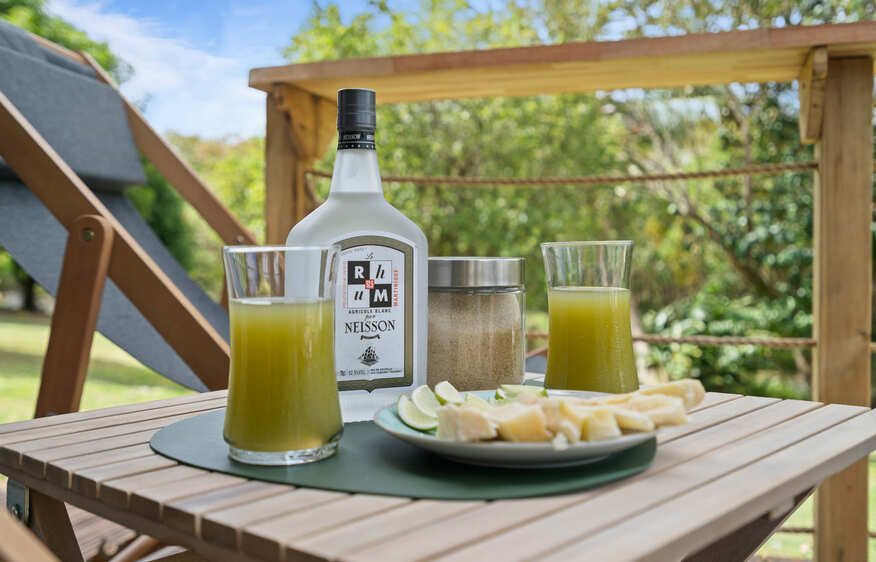 location  Appartement Mango Bliss Sainte-Luce  Martinique