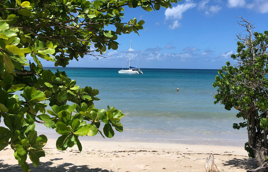 location  Villa Les Lucioles Sainte-Luce  Martinique