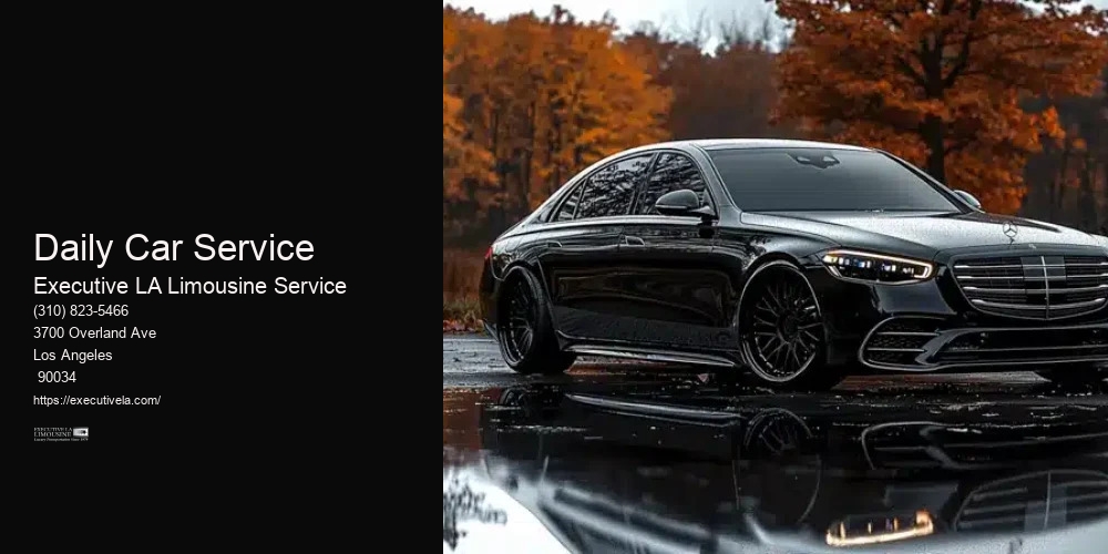 Daily Car Service