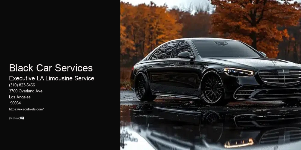 Black Car Services