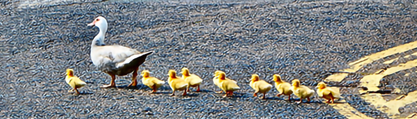 6 Emerging Leadership Trends for 2019 and Beyond