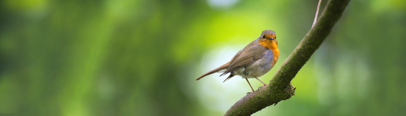 How Procrastination Can Ruin It All