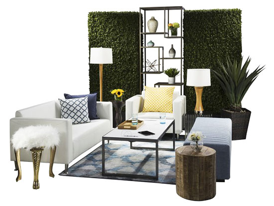 12-19-18-baja-collection