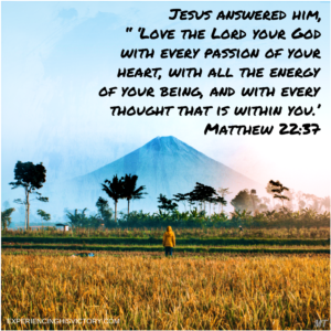 Love God with Every Passion [image]