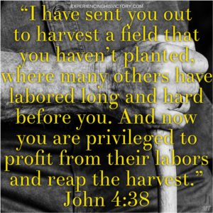 Reap the Harvest [image]