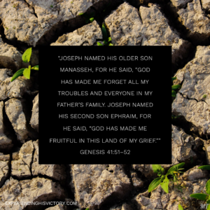 Forgotten Troubles and Fruitfulness [Image]