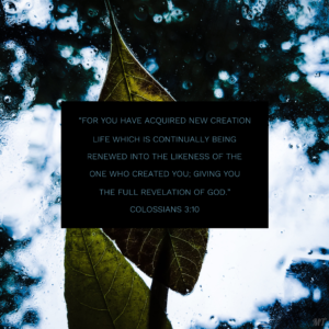 New Creation Life [Image]
