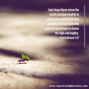God Chose Foolish Things [Image]
