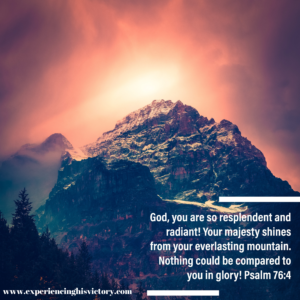Your Majesty Shines [Image]