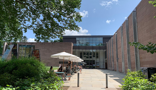 Princeton's Government Structure: An Overview of Local Leadership and Political Dynamics